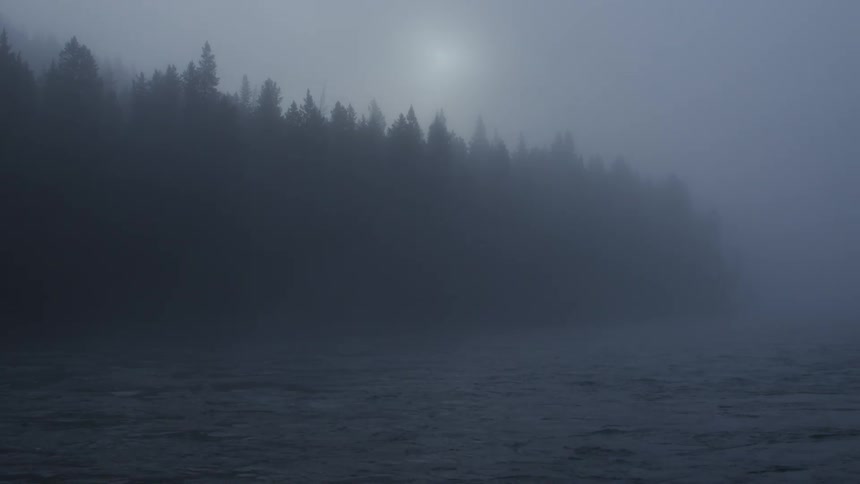 A dark forest next to a river is covered in heavy fog