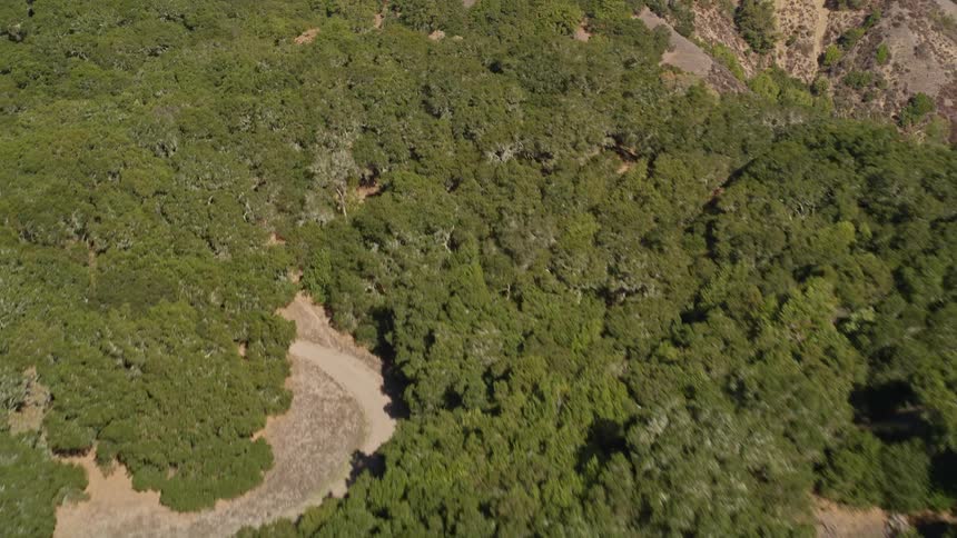 Aerial panorama of forested mountain ranges