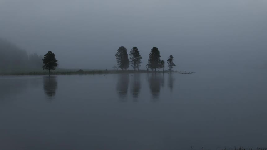 Fog shrouds forest standing near lake reflecting a clump of trees