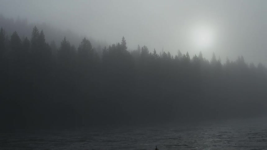 Landscape of a flowing river and conifers next to a forest on a misty day