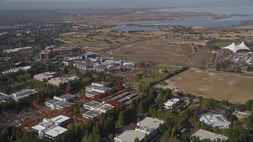 A residential area with few houses and lots of trees and in the background there is a bay
