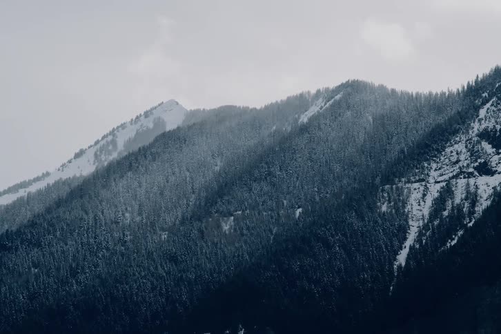 The mountain is covered with trees