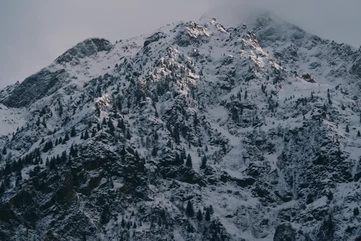 A large mountain covered in snow and with some pine trees