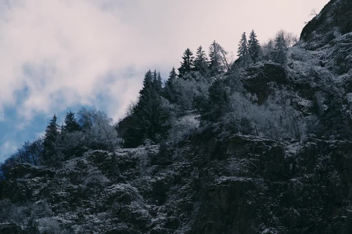 A snowcovered mountain with evergreen trees under a cloudy sky