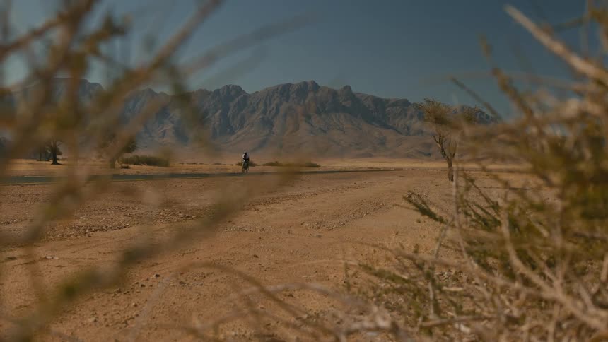 Landscape with desert vegetation and a cyclist pedaling on a narrow asphalt street