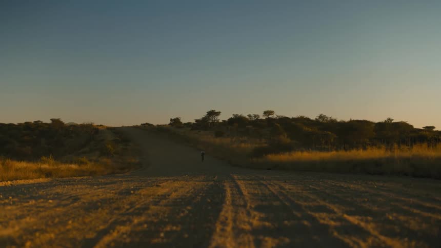 Person riding a bicycle along a dirt road in a natural environment on a morning