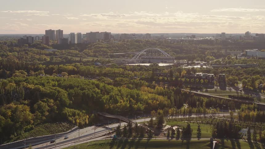 Panorama of a metropolis with treelined intersections and skyscrapers on the horizon