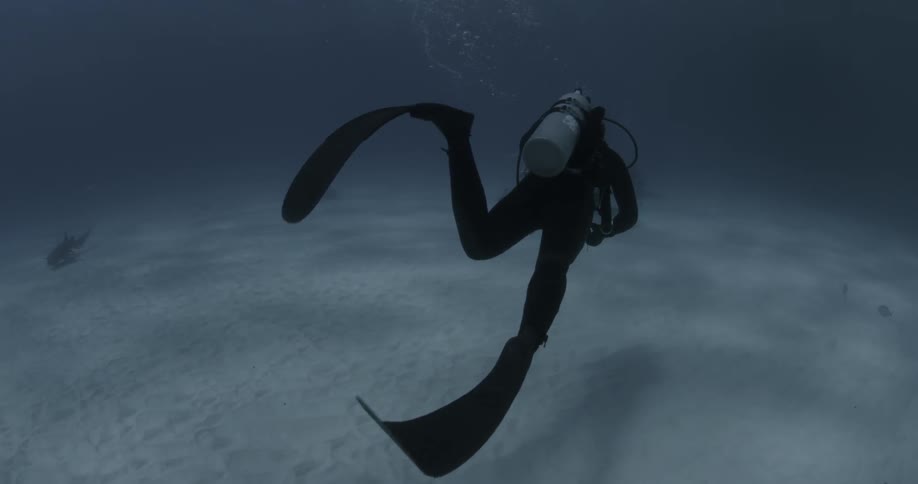 A diver is filming sharks swimming in the distance