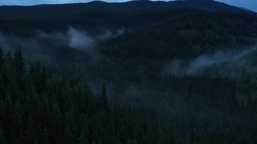 Fog floats over a mountain forest at night