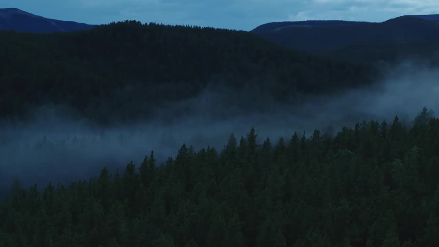 A misty forest at dusk with low clouds settled in a valley