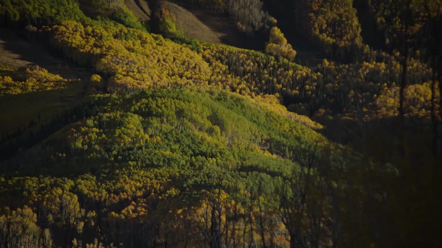 Green lush vegetation on the slopes of a mountain