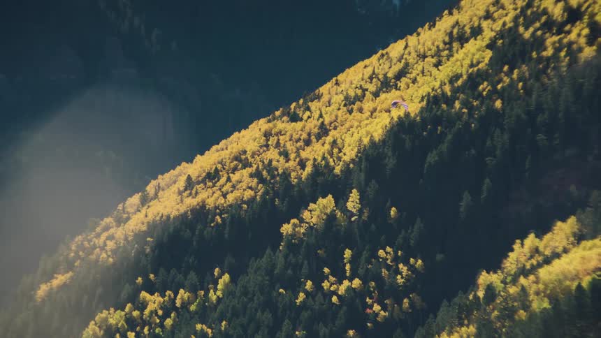 Person parachuting outdoors over a mountainous coniferous forest during daytime