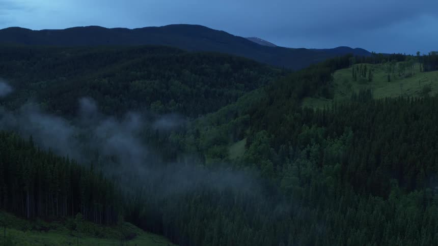 A spot of fog floats over a large broken forest