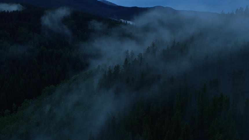 An aerial view of a pine forest with heavy fog passing through the trees at night