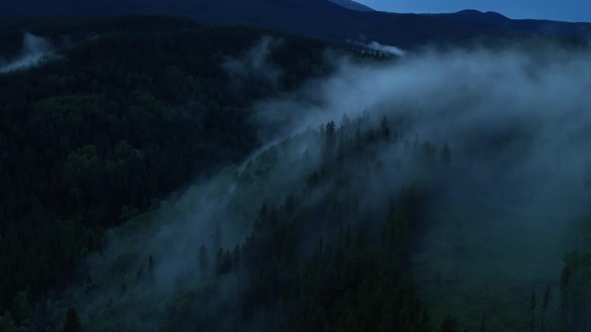 A misty forest at twilight with fog rolling through the trees