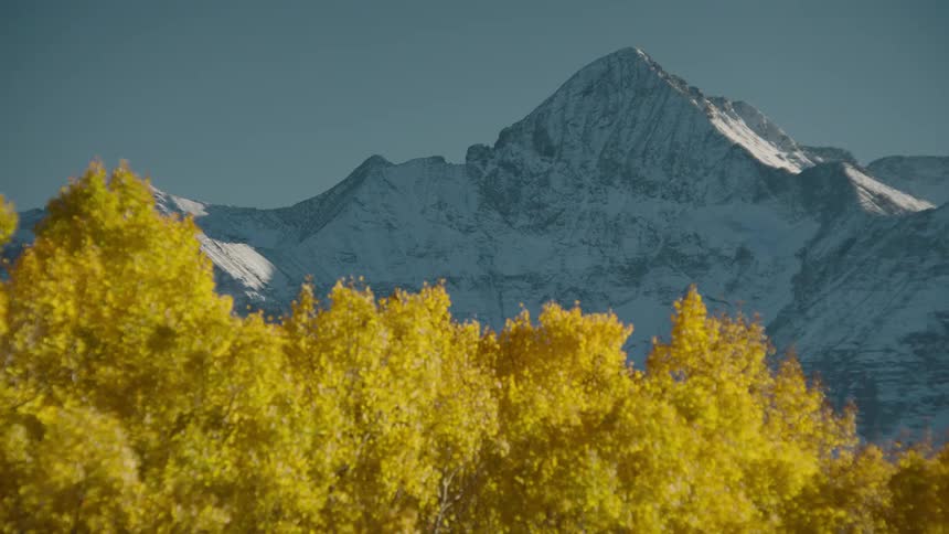 A mountain with a rugged peak towers over a forest of yellowleaved trees under a clear blue sky