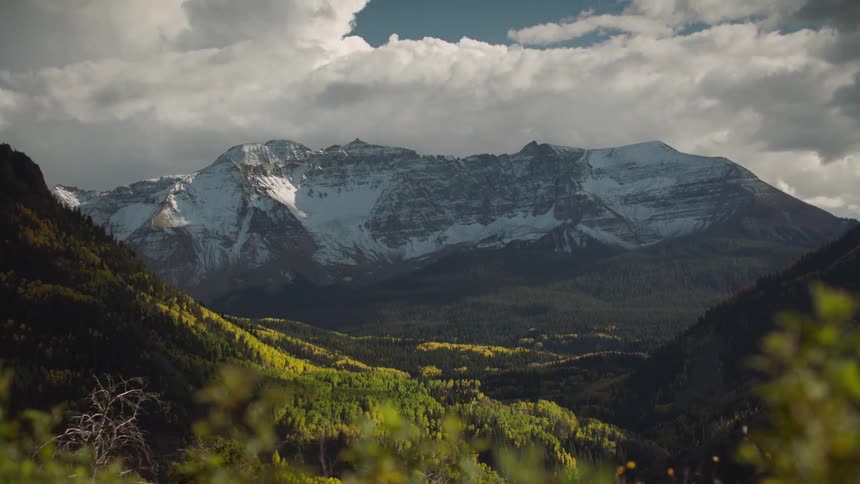 Conifer forest contrasts with deciduous forest in valley between mountains on a cloudy day