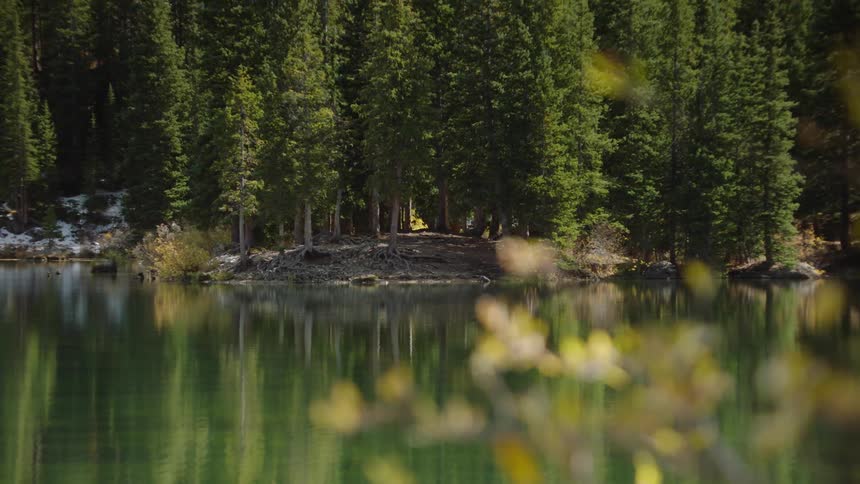 Greenish lake with conifers around on a winter day