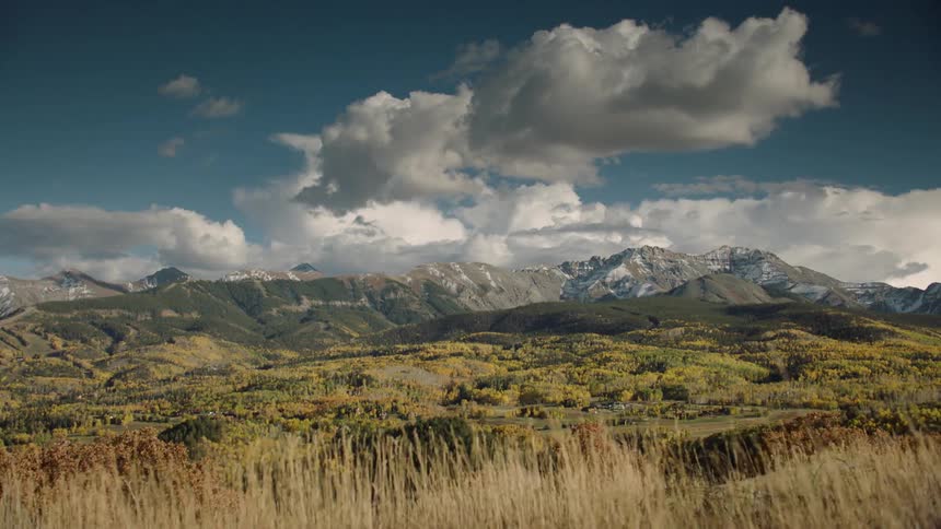 A wide shot of an open grass field