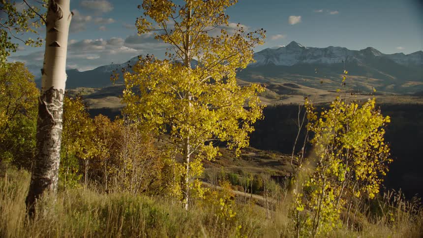Natural landscape of mountains and plateau with forests and yellow trees on a blue sky day with clouds