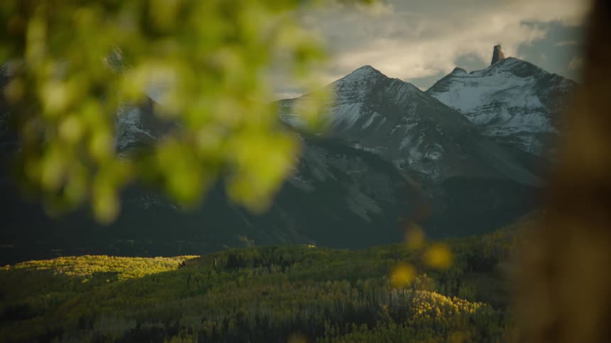 Nature of a tree with branches and leaves in the foreground and snowcovered mountain ranges in the background