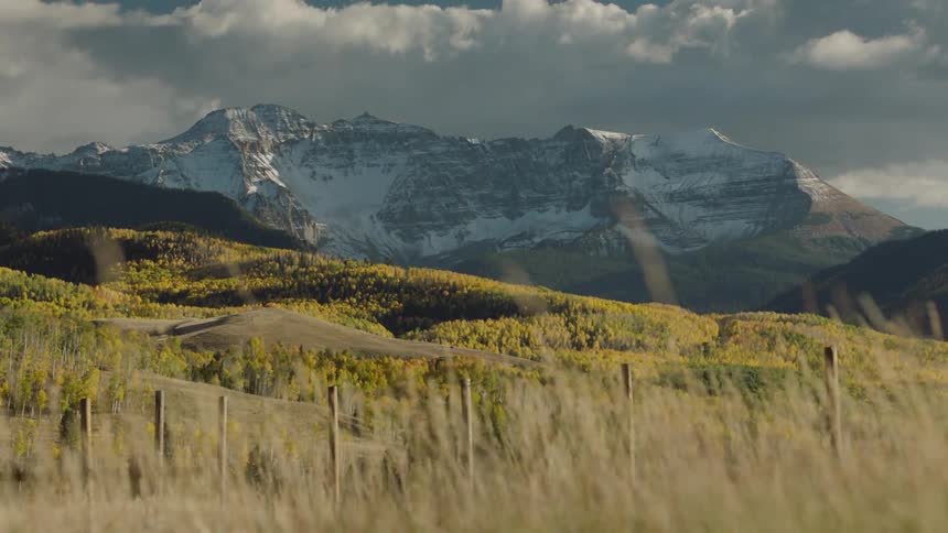Grass waving in the wind with a mountain range covered in snow in the horizon
