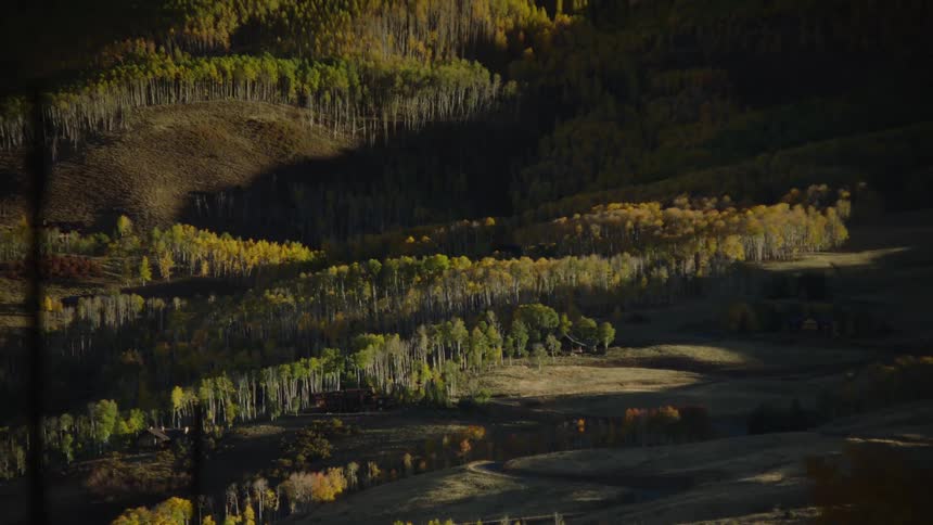 Landscape of conifers and forests amidst mountains