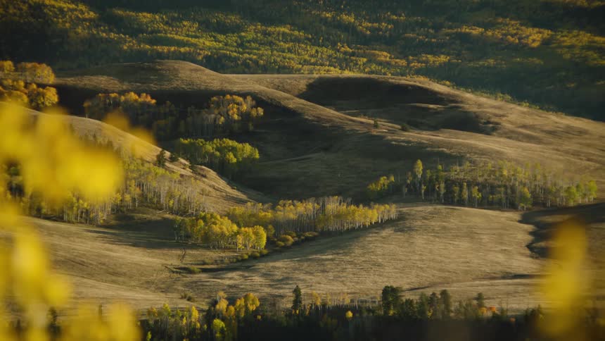 A landscape with rolling hills and patches of trees in autumn colors
