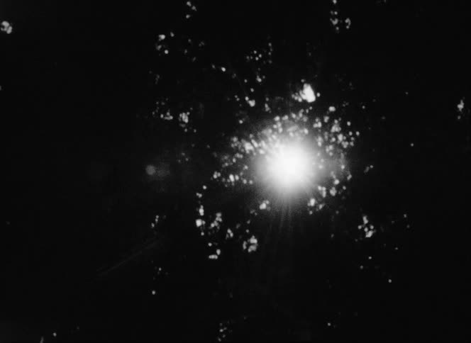 Black and white footage of sunlight filtering through folliage