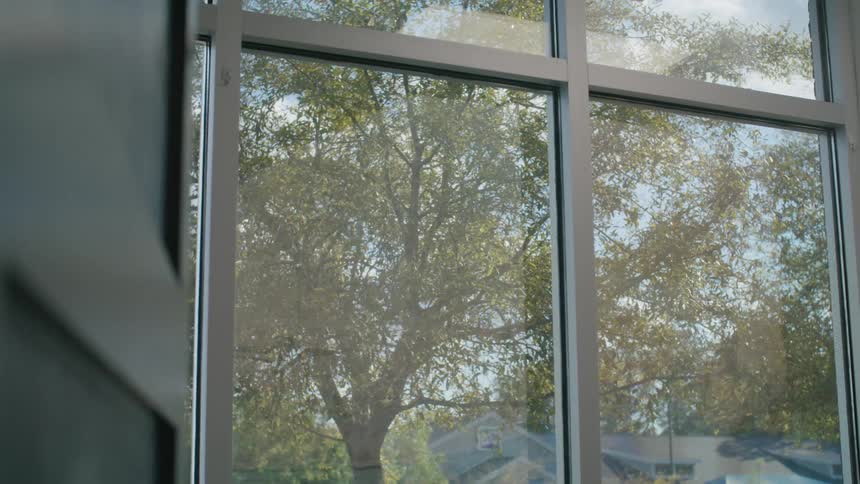 Interior design of a glass and chrome window overlooking a greenish tree during the day