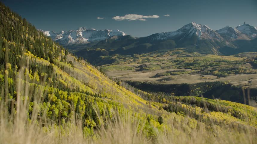 A mountain with a rugged peak towers over a forest of yellowleaved trees under a clear blue sky