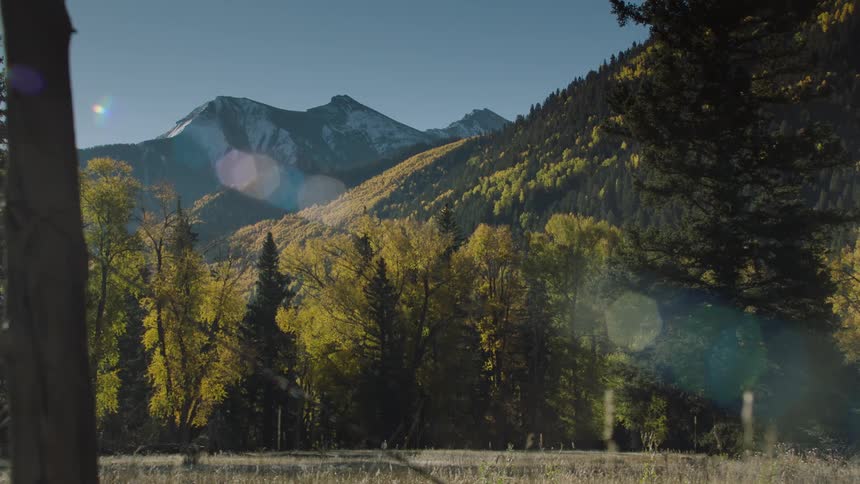 A mountain range with a peak stands behind a forest with autumncolored foliage under a clear blue sky