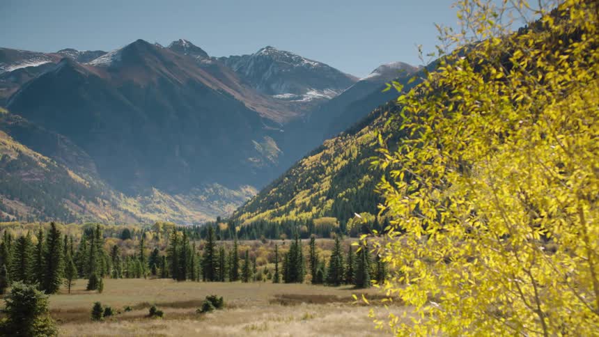 A valley surrounded by forests and mountains under a clear sky