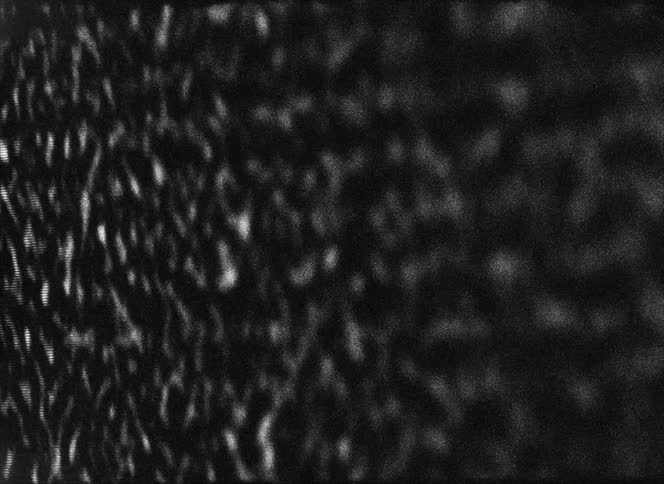 Close up of black and white static on a screen