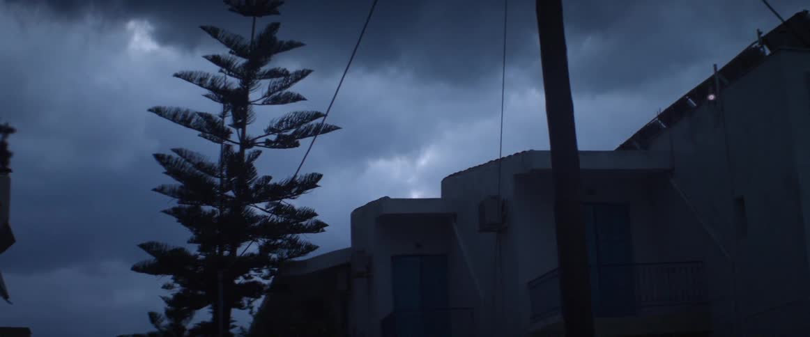 Trees sway in the breeze as a storm rolls in