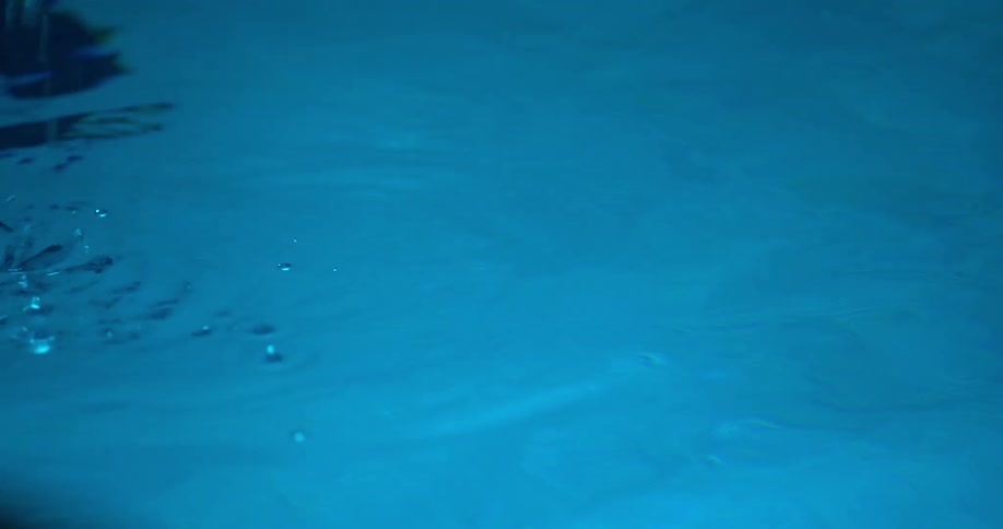 An empty pill bottle is floating in a swimming pool when a hand grabs it out of the water