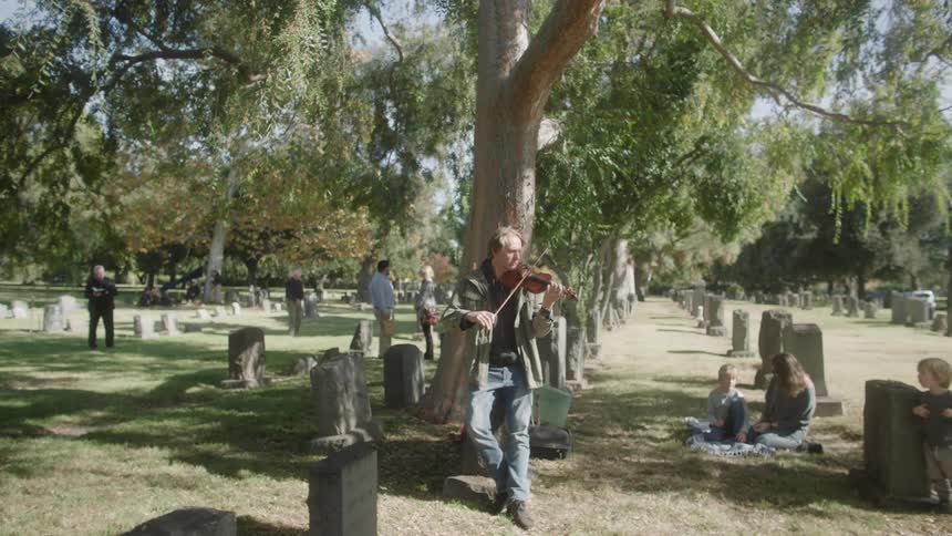 Musician leaning against the tree in the middle of the cemetery playing a violin