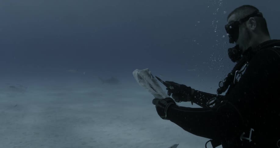 A diver is holding and scoring a piece of fish meat while sharks swim by him
