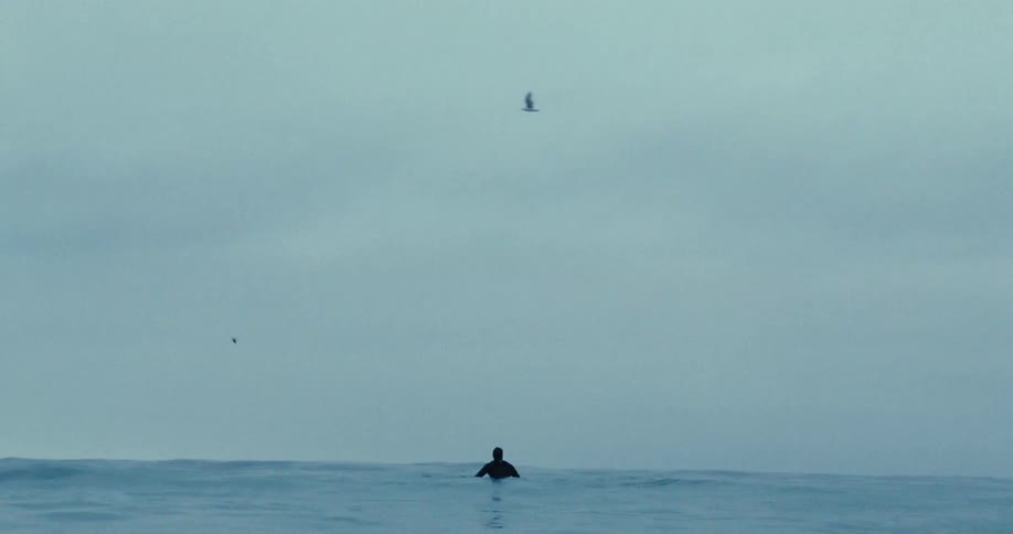 Seagulls fly over a surfer floating in the ocean