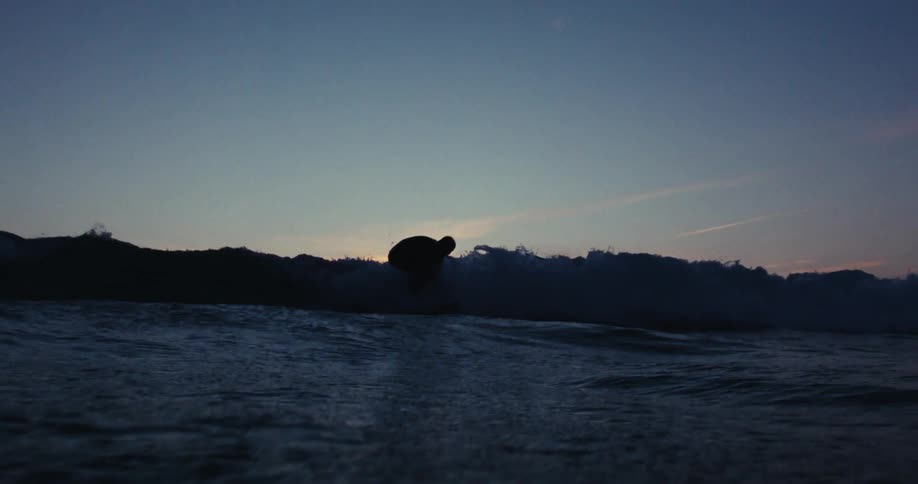 Silhouette of a man surfing a small wave on a purple sky morning