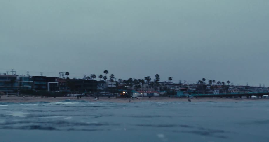 A little bird flying over the sea with some waves and close to the beach which has a pier