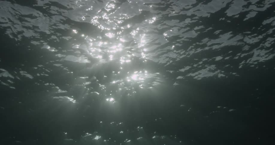Underwater view in the water with sunlight shining down