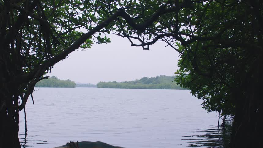 Boat passing through a river channel in an arch of trees
