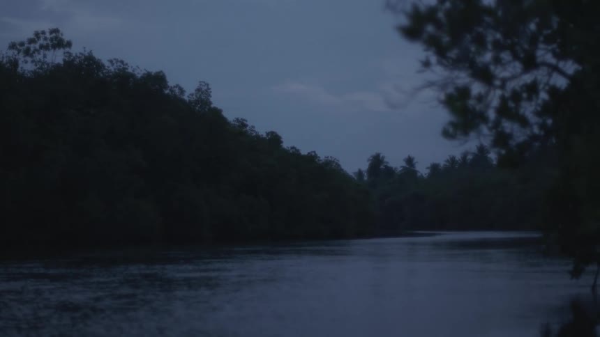 A river or lake surrounded by dense forested area at dusk