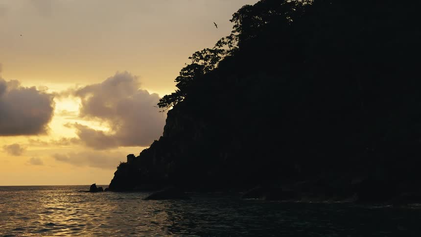 Birds fly around the coast line