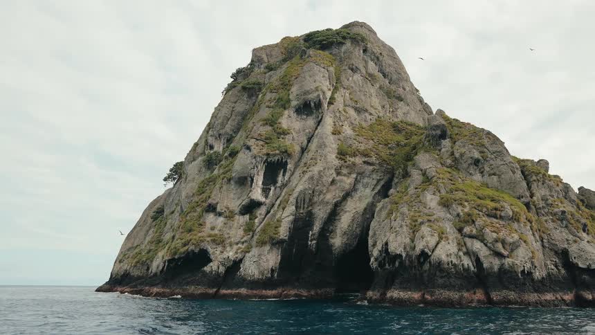 Birds fly around a mountainous island