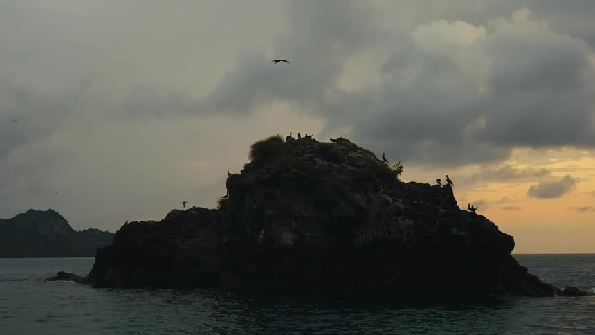 Birds fly over a rocky island near a coastal area