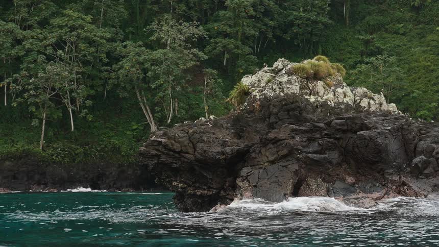 Waves crash against a tropical coastline rock formation jungle vegetation in the background