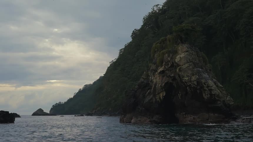 Rocky and wooded coastline by the sea on a cloudy morning