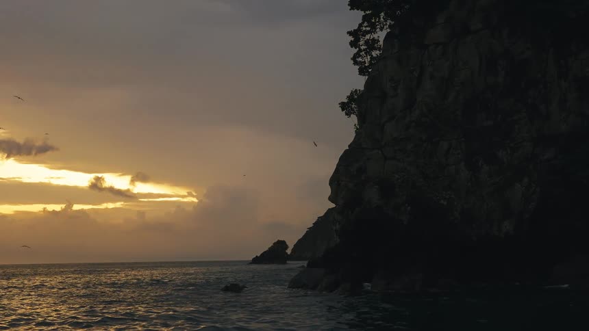 Birds fly around the shore at sunrise